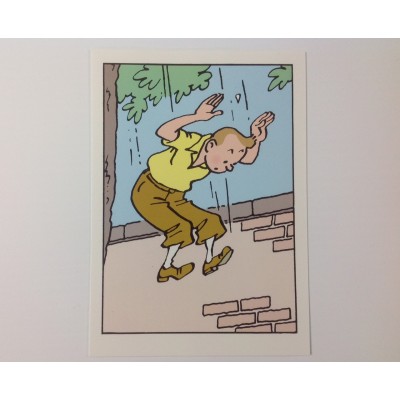 Carte - Tintin saute